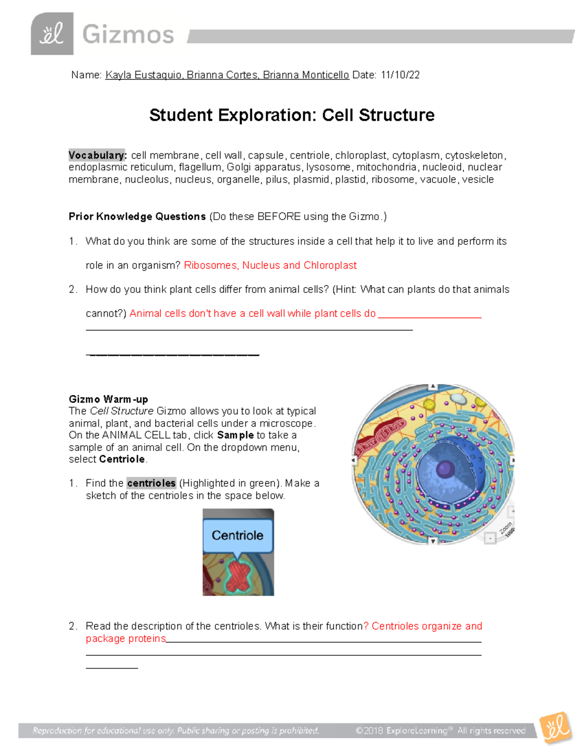 Cell Structure SE - Answers for Gizmo Exploration Activities - Studocu
