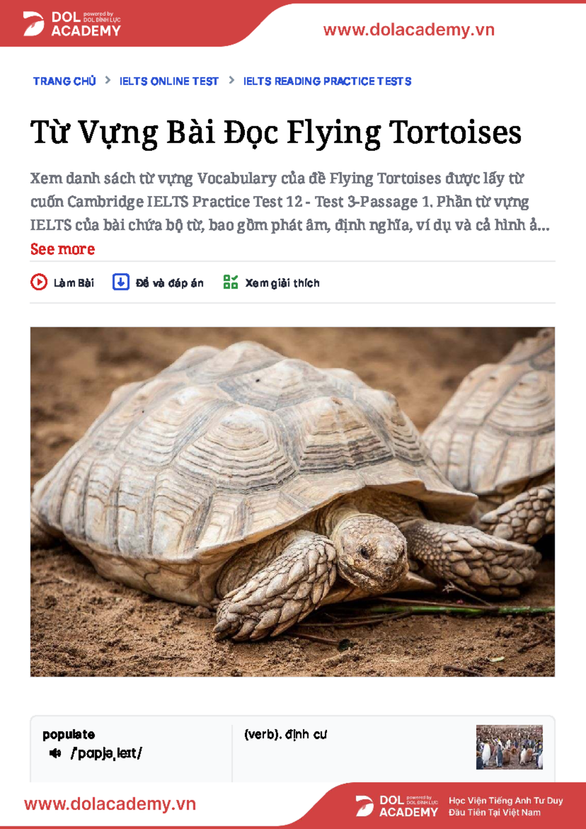 IELTS Online Test: Flying Tortoises Reading Practice Vocabulary - Studocu