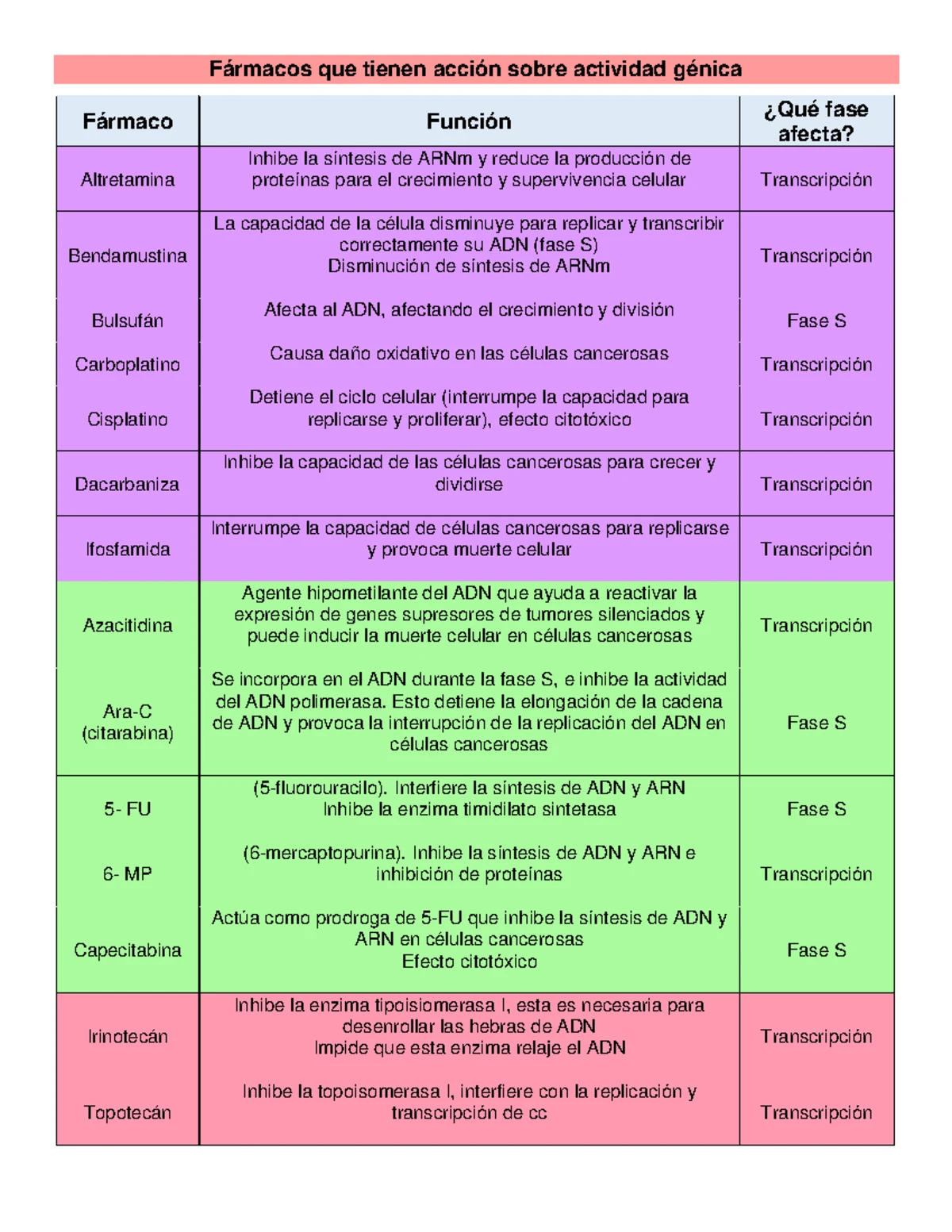 Reino Monera: Características y Clasificación de Organismos - Studocu