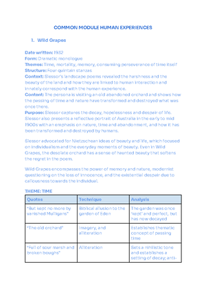 Common Module Essay - Common Module Texts offer a representation of the ...