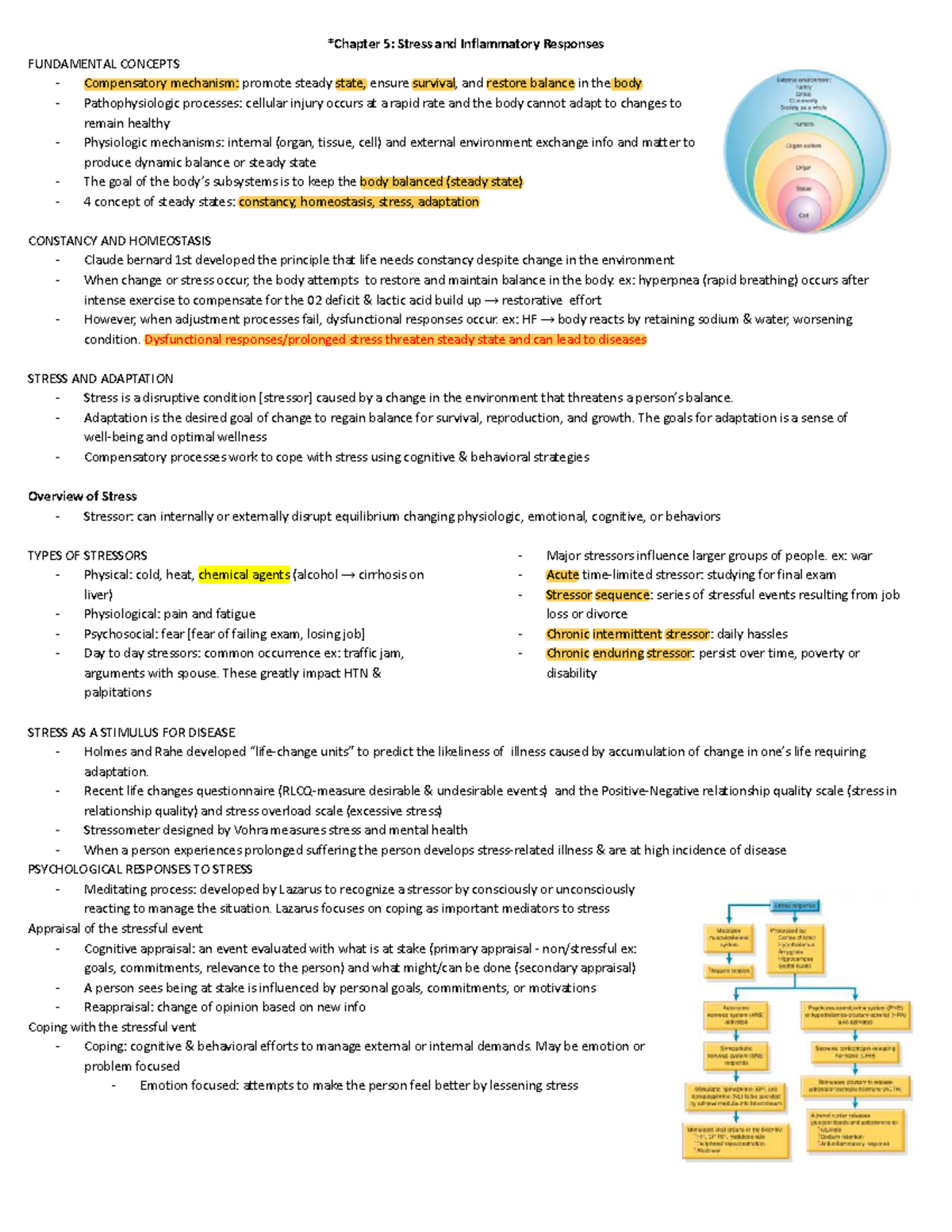 Stress and Inflammatory Responses: Fundamental Concepts in Health (5 ...