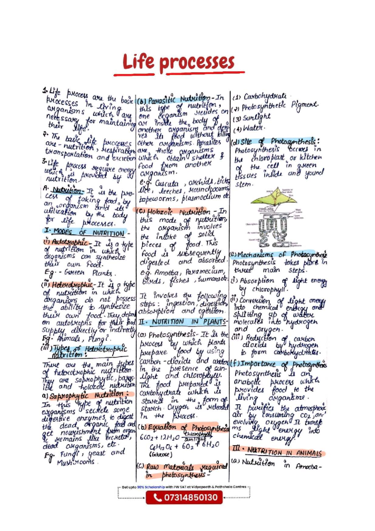 Life Processes Notes (IK 1) - Understanding Nutrition & Photosynthesis ...