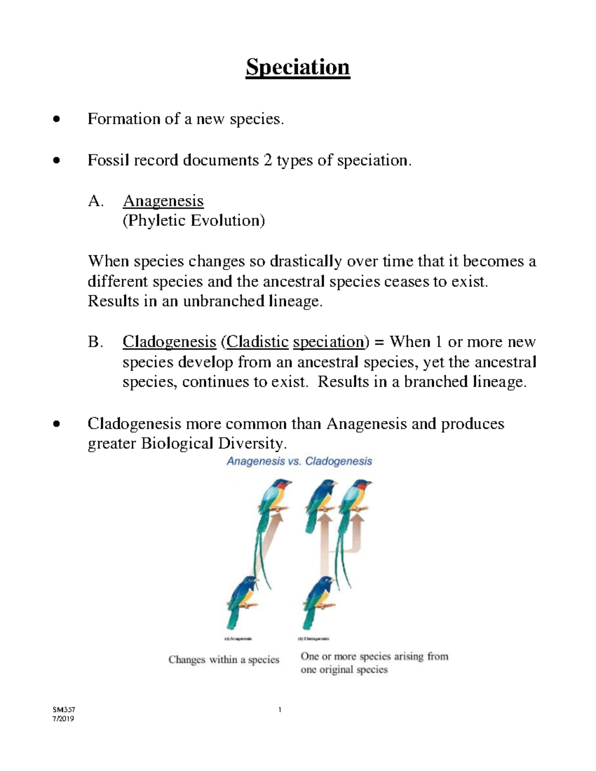 Speciation Mechanisms and Models: Insights from SM357 Course Notes ...