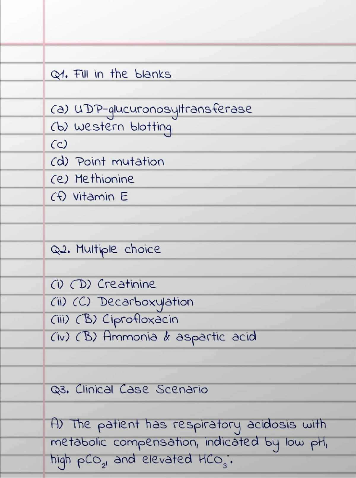 Pelvis Anatomy Notes (PEL 101) - Comprehensive Study Guide - Studocu
