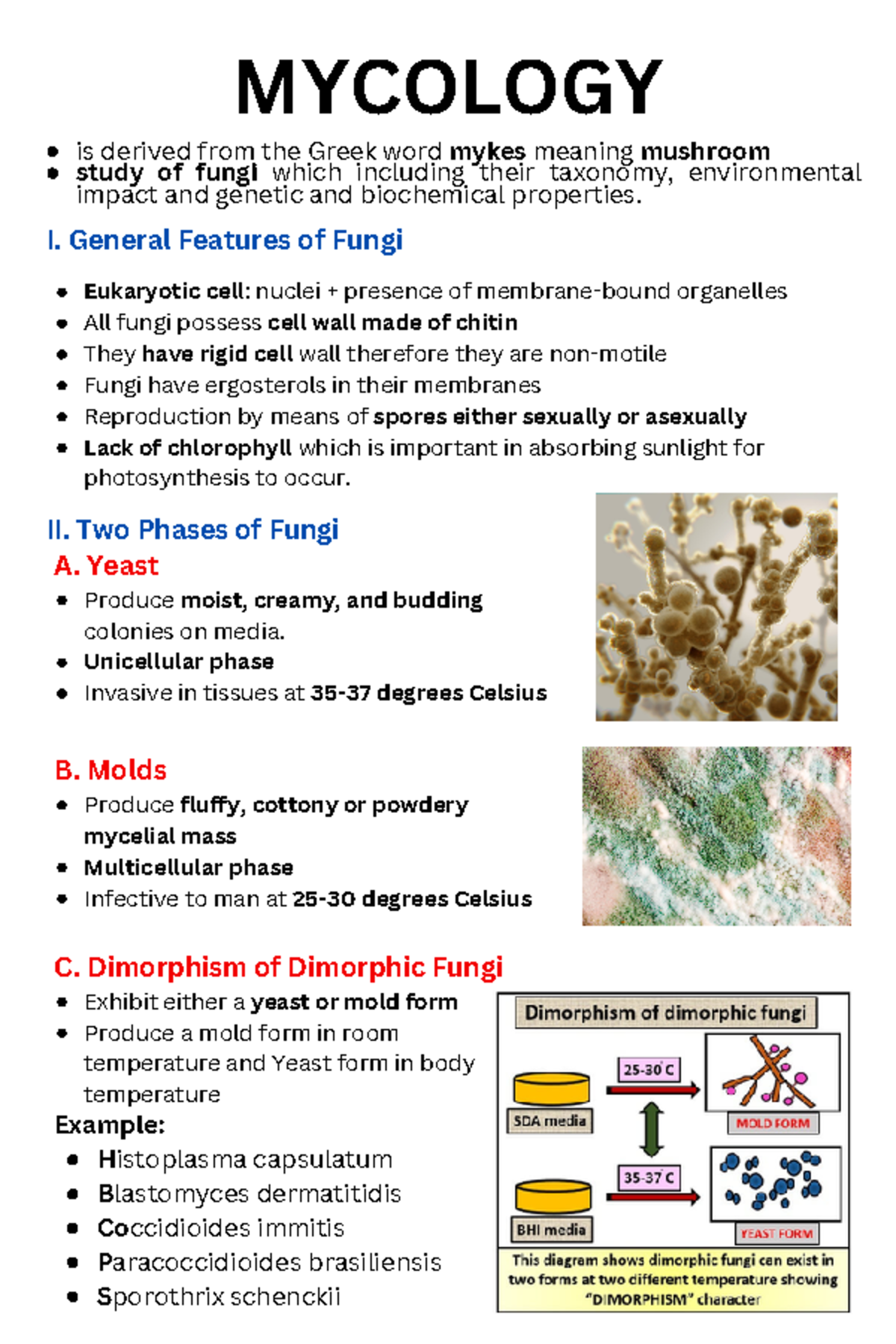 Mycology and Virology: An In-Depth Study of Fungi and Their Impact ...
