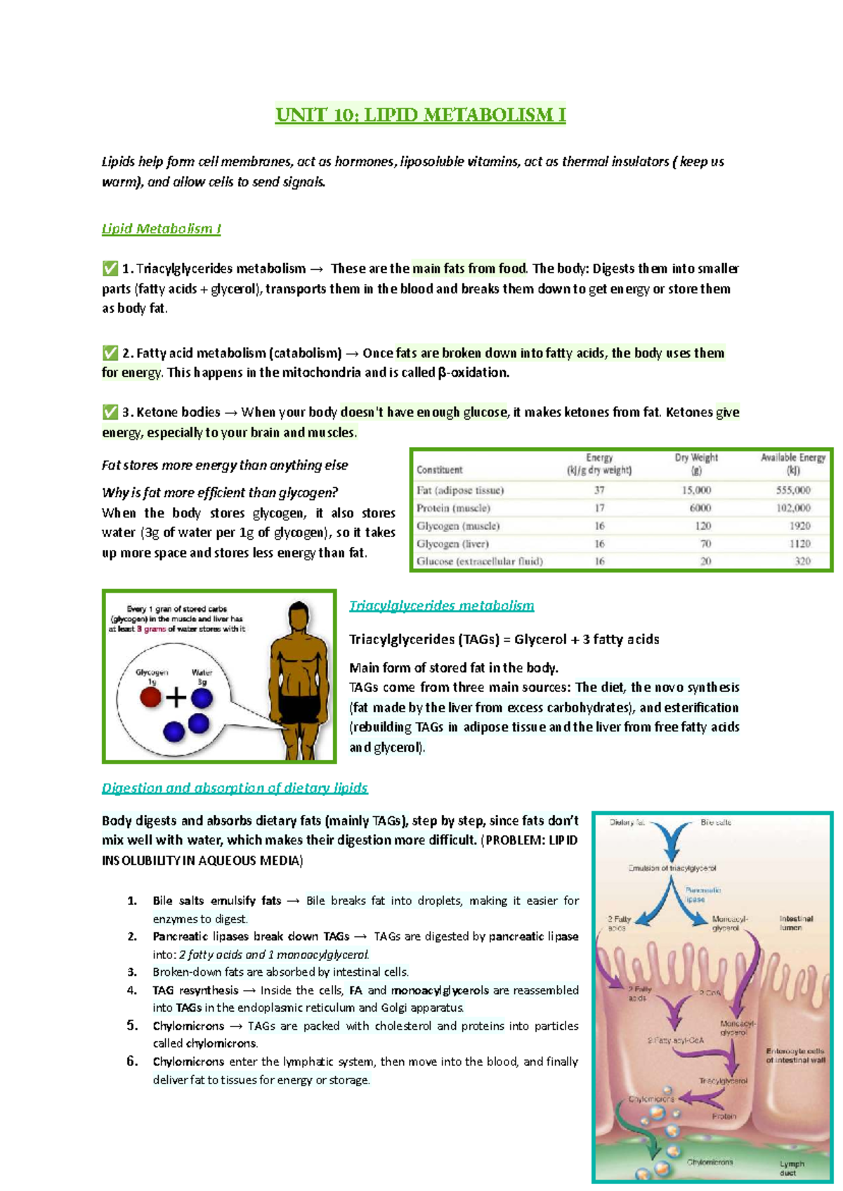 UNIT 10: LIPID METABOLISM I - Overview of Fatty Acid and TAG Metabolism ...