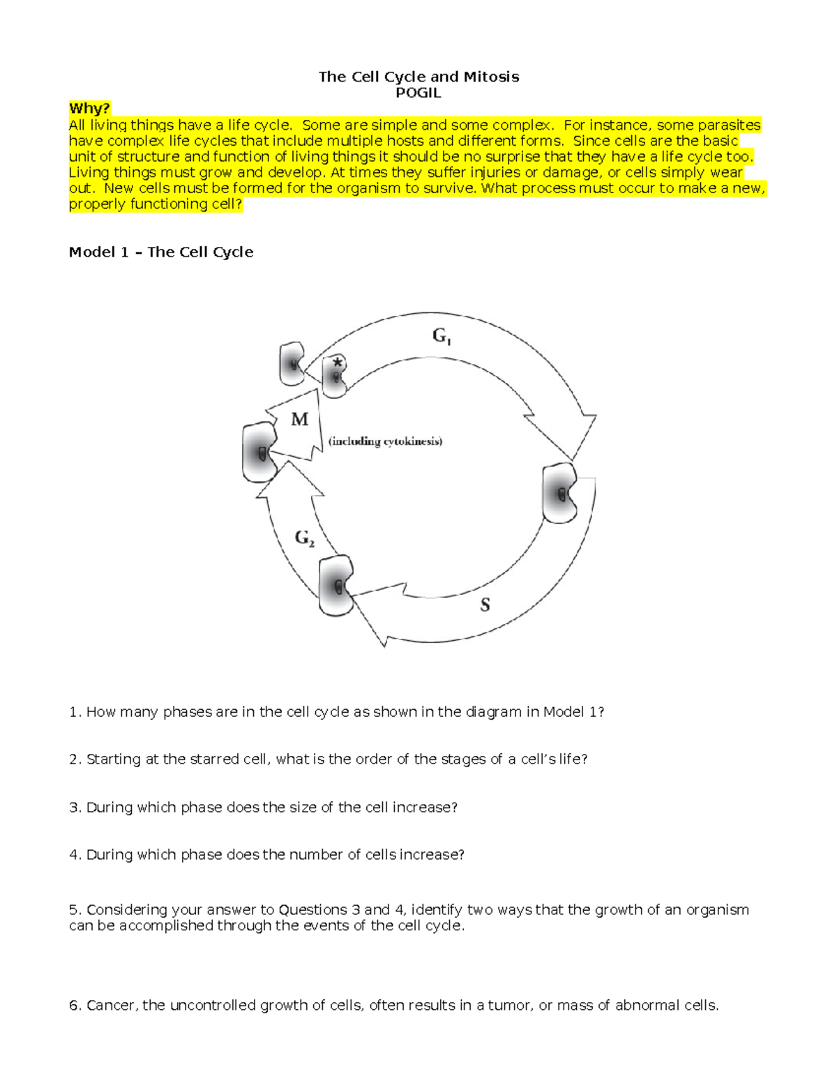 The Cell Cycle and Mitosis: POGIL Study Guide - Studocu