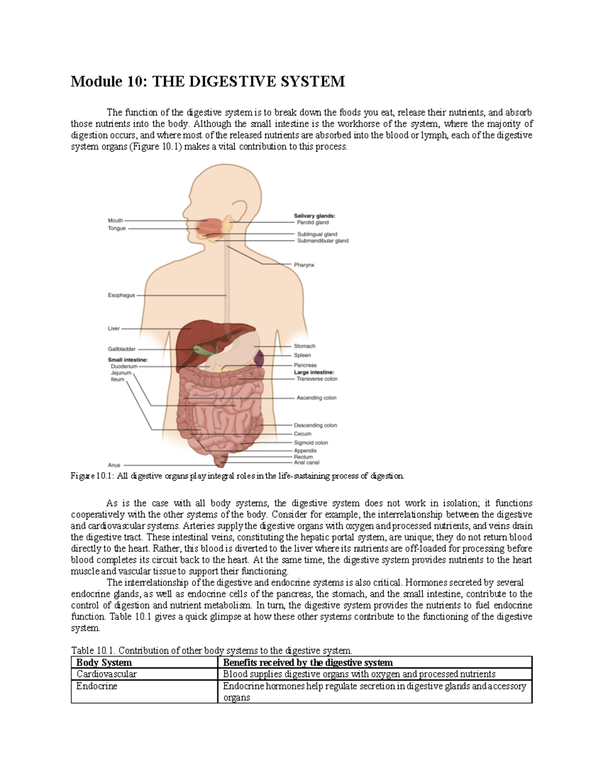 Module 10 - Overview of the Digestive System Functions and Organs - Studocu