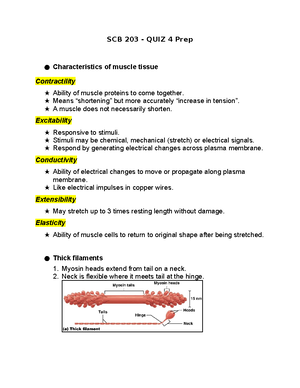 SCB 203 Microscope - LAB WRITTEN EXAM 1 - Parts of the Microscope Arm ...
