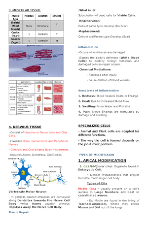 Img20241002 09474337 - its swlf explanatory - Science Subject - NG ...