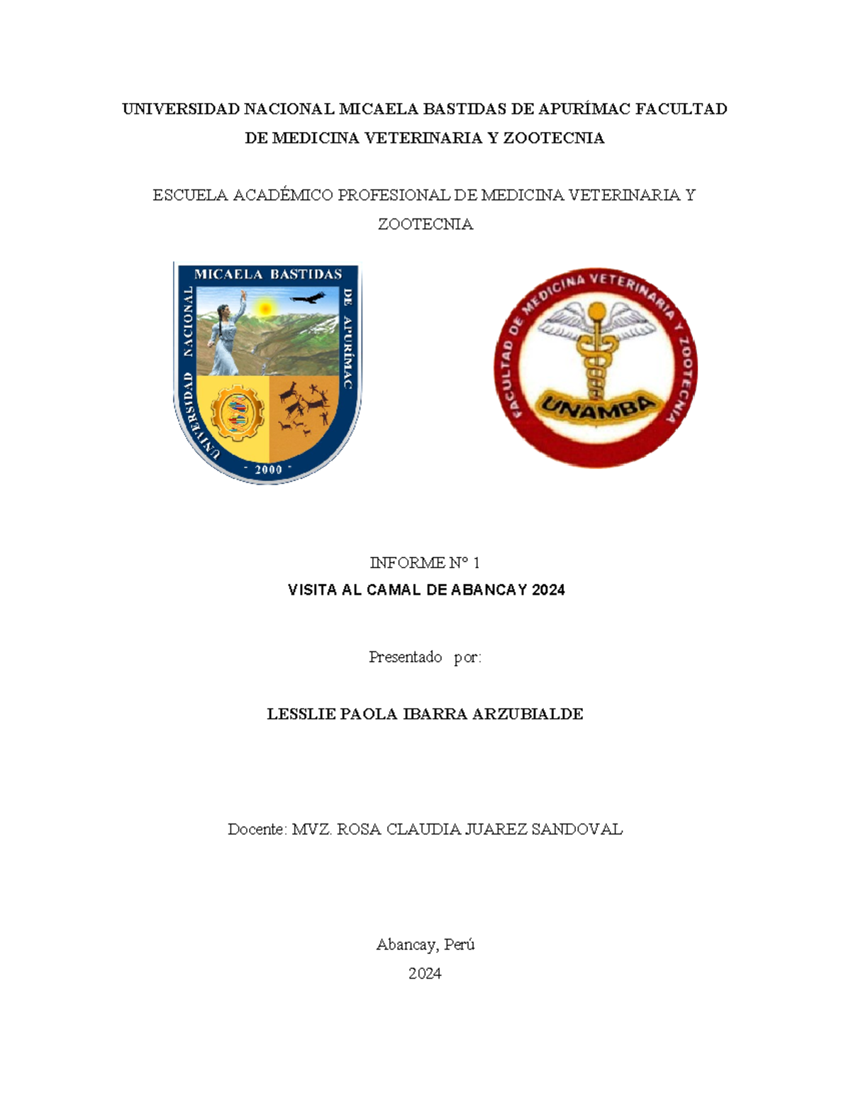 Informe N° 1: Bienestar Animal en el Camal de Abancay 2024 - Document Preview