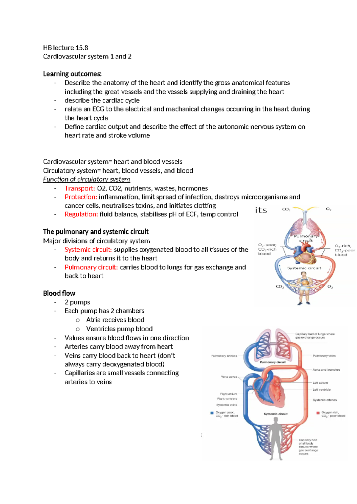 Cardiovascular System Lecture Notes - HB 15 Overview - Studocu