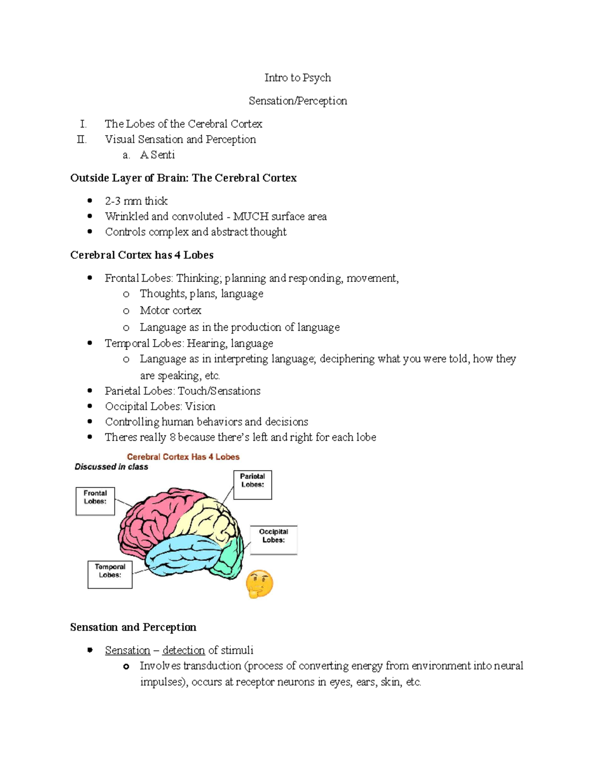 Intro to Psych I: Sensation and Perception of the Cerebral Cortex - Studocu