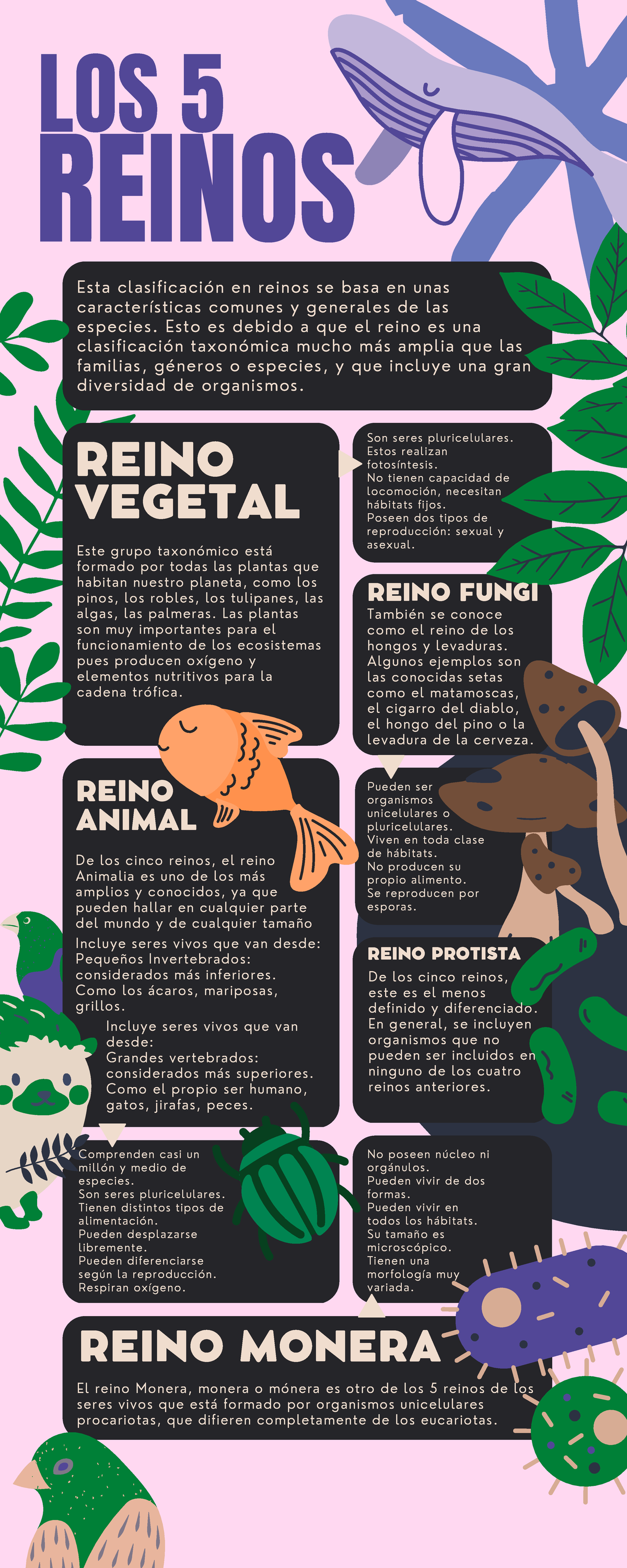 Infografía Biología: Reinos de la Naturaleza y sus Características - Studocu