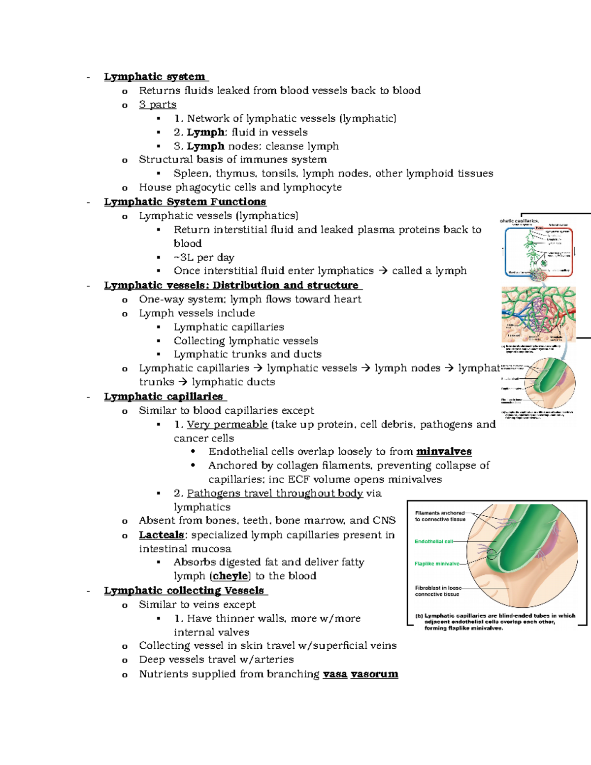 Chapter 20 - Overview of the Lymphatic System Functions and Structure ...