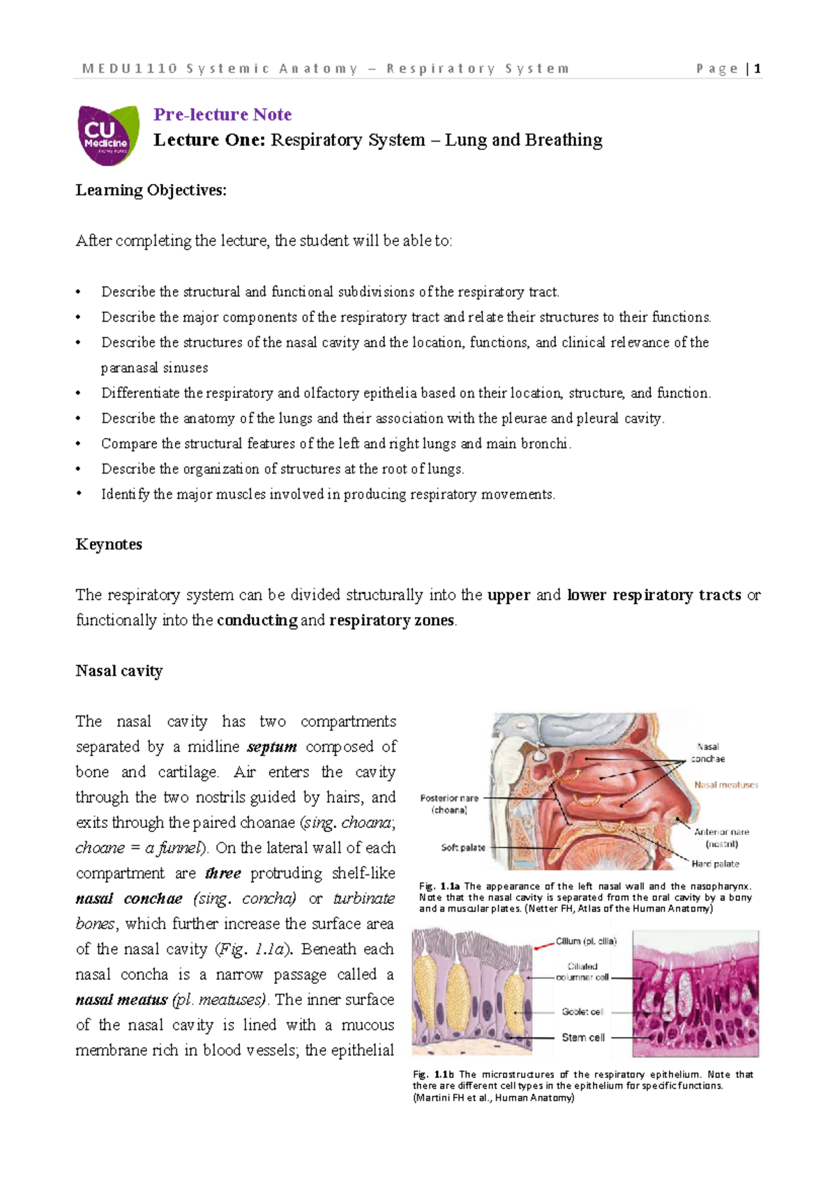 Systemic Anatomy: Respiratory System Lecture Notes (2026) - Studocu