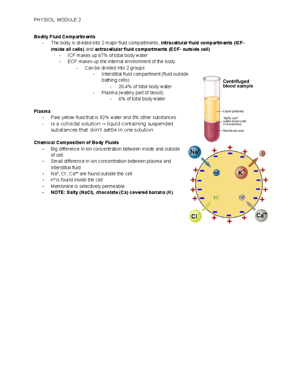Physiol 2130 - Module 2: Understanding Bodily Fluid Compartments - Studocu