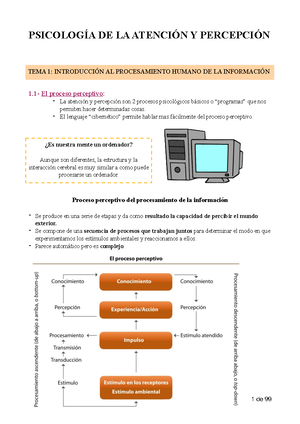 Esquema PSICO Atención y Percepción: Procesos Básicos Psicológicos ...