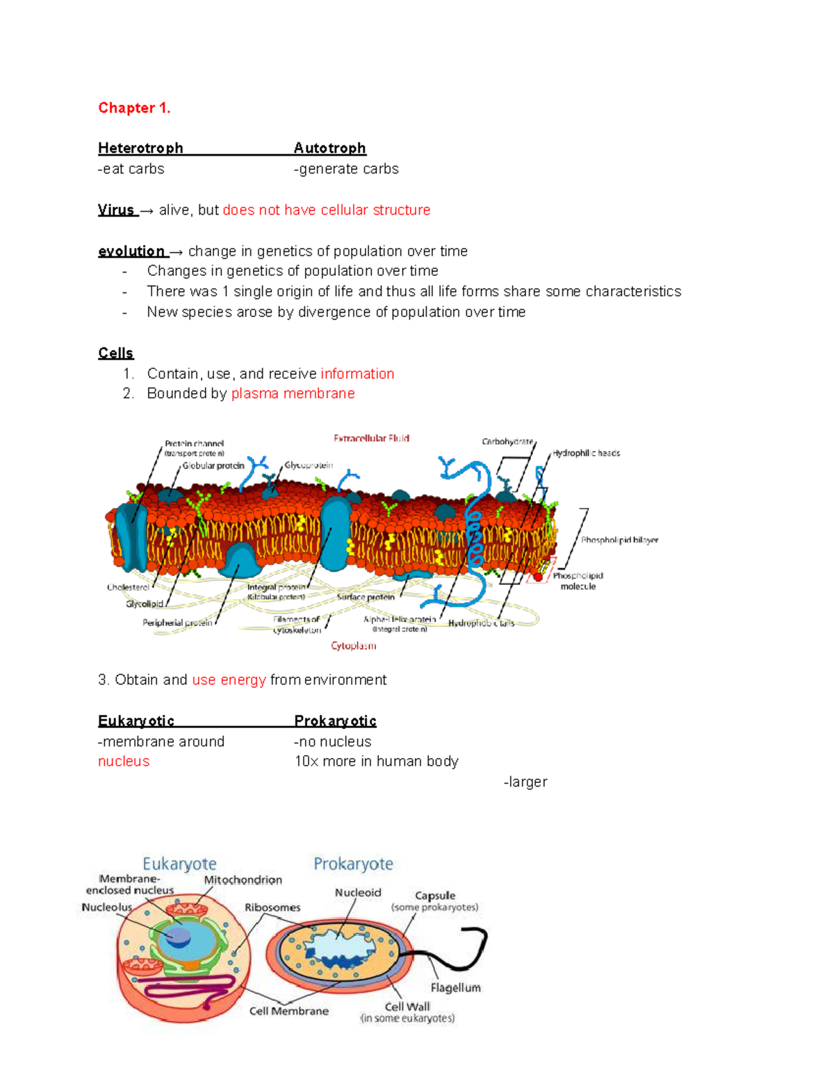 BIO 101 Exam 1 Study Guide: Key Concepts & Definitions - Studocu
