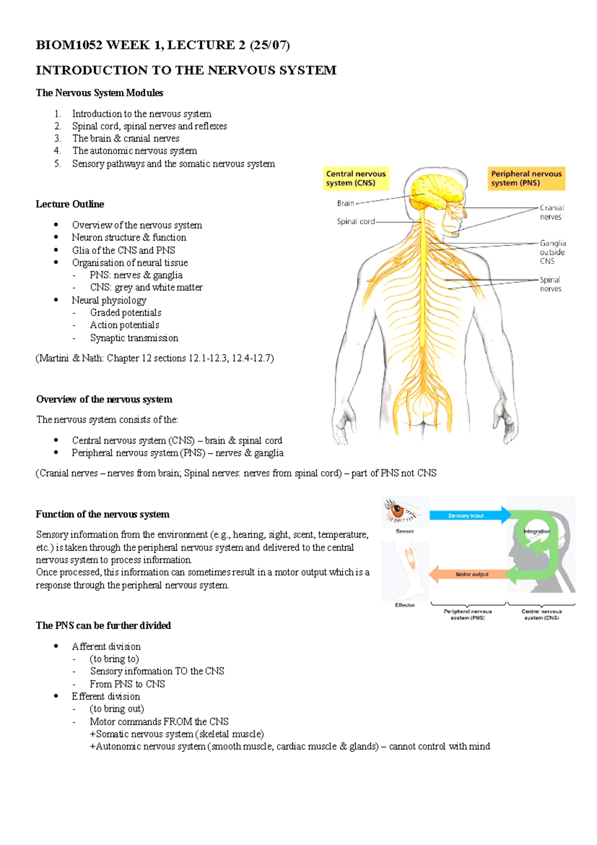 BIOM1052 Week 1 Lecture 2: Overview of the Nervous System - Studocu
