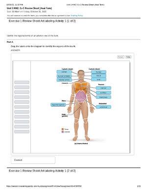 [Solved] Use this labeled image of a cadaver from Pearson to answer ...