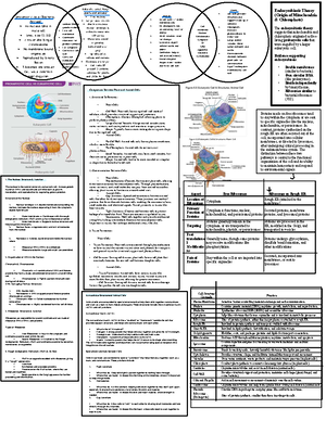 DNA Analysis Lab Report - Google Docs - DNA Extraction Analysis with ...