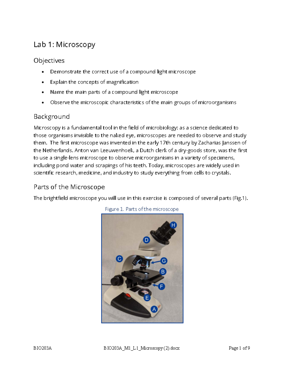 BIO203A M1 Lab 1: Microscopy Techniques and Observations - Studocu