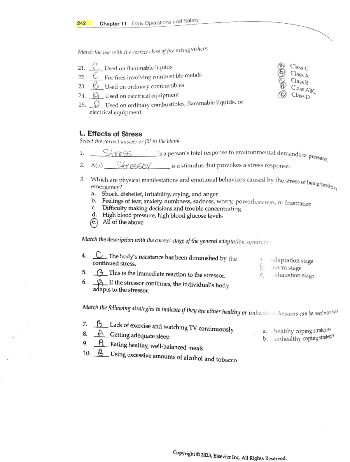 Chapter 11 Study Guide: Key Concepts and Questions - Studocu