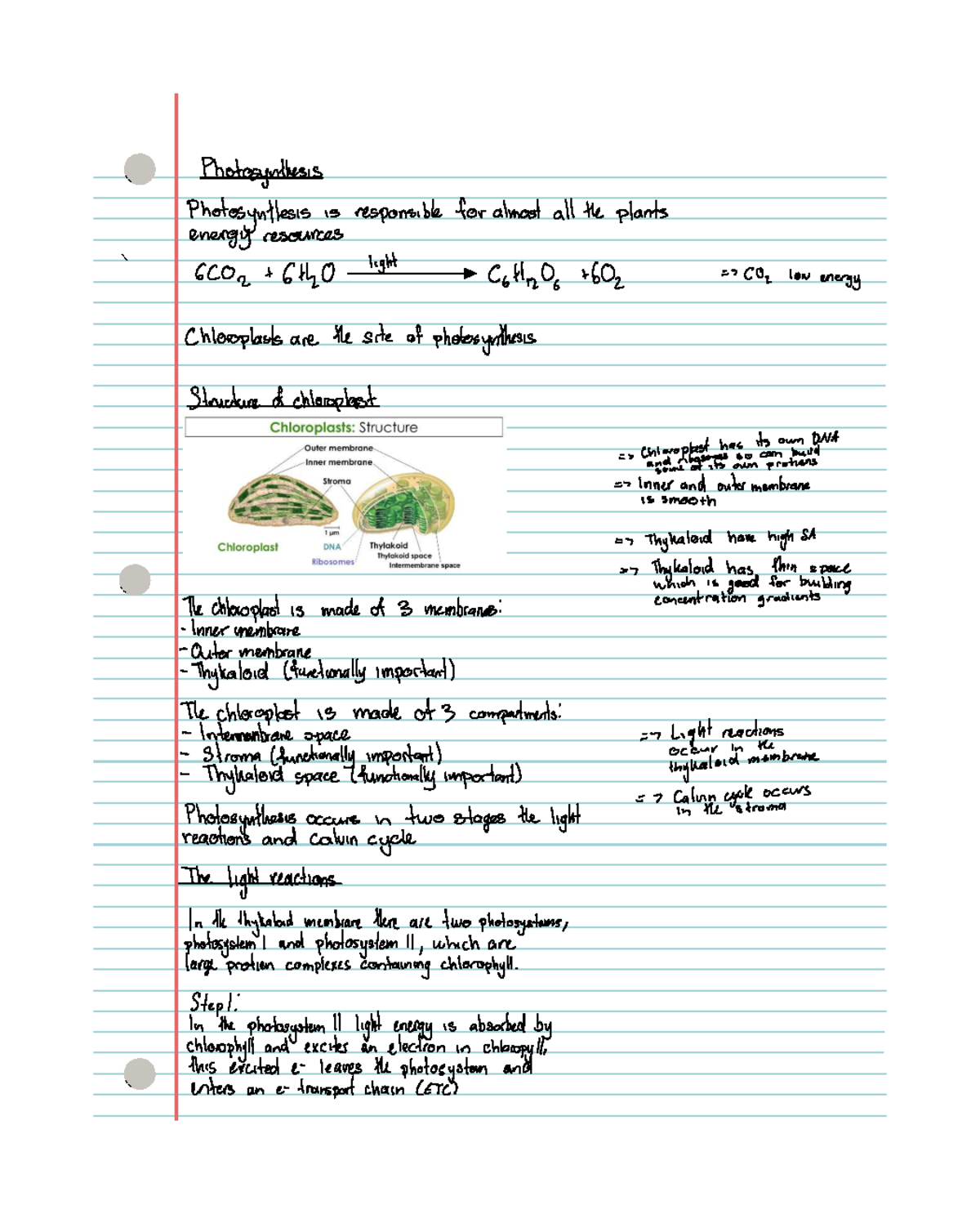 CELS 6602 - Lecture 7: Detailed Overview of Photosynthesis - Studocu