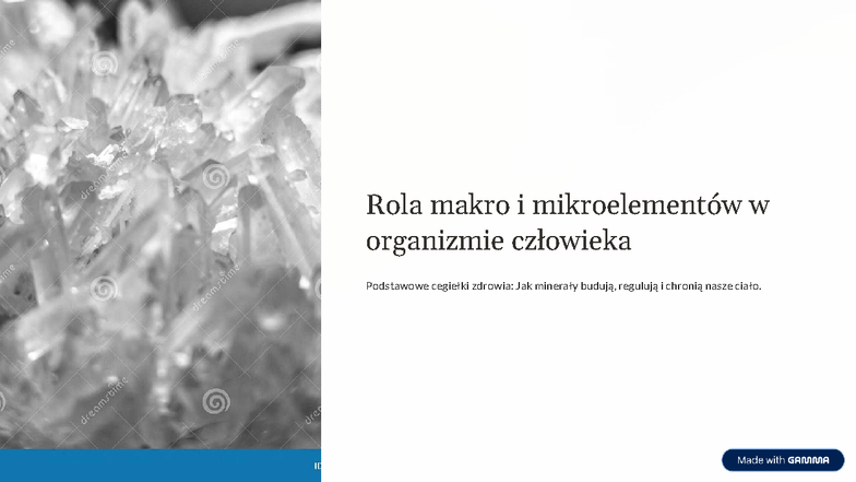 Rola makro i mikroelementów w organizmie człowieka: Klucz do zdrowia