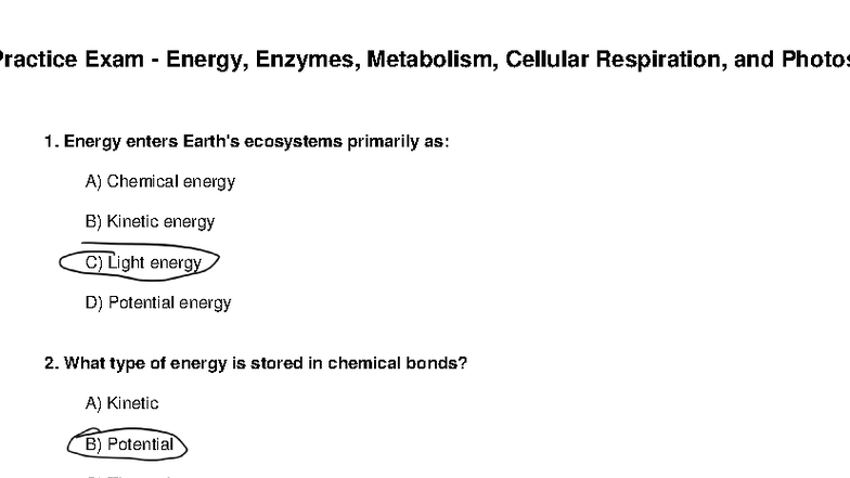 Biology Practice Exam 50 Questions: Energy, Enzymes, Metabolism ...