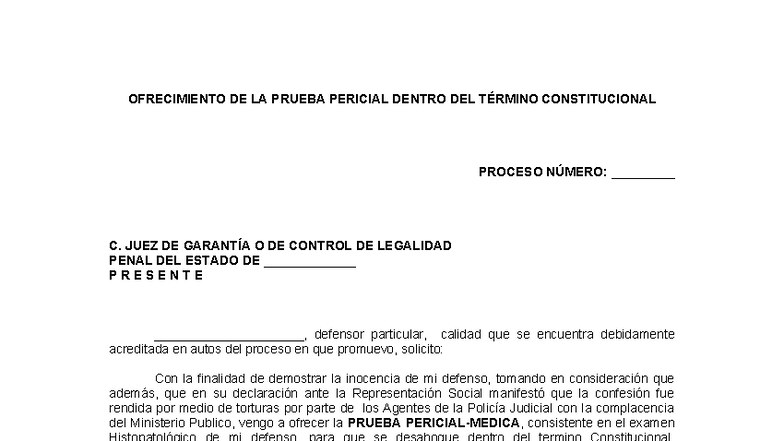 Ofrecimiento de Prueba Pericial en Proceso Penal C. Juez de Garantía