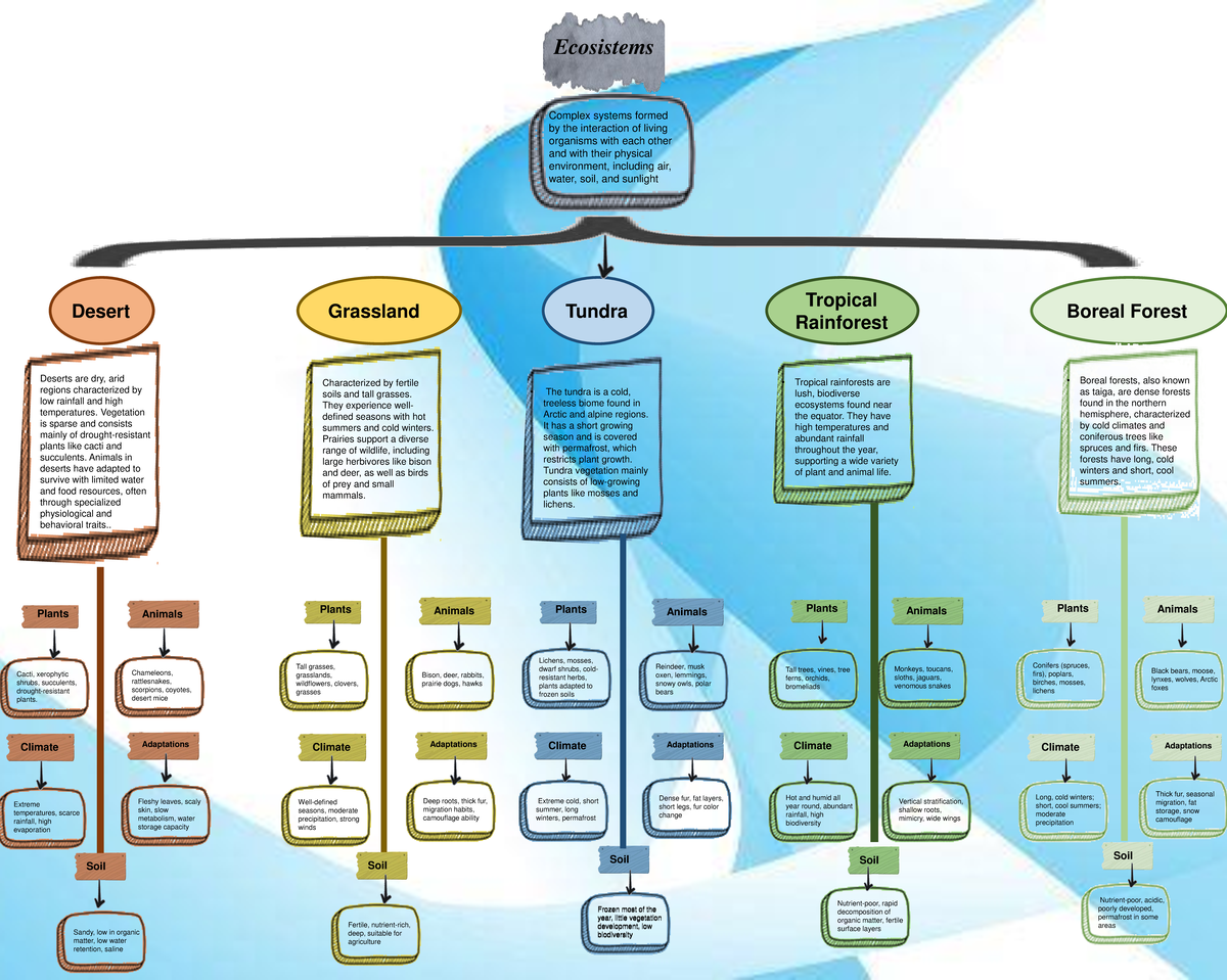 EV2 Mapaconceptual - .... - Ecosistems Complex systems formed by the ...