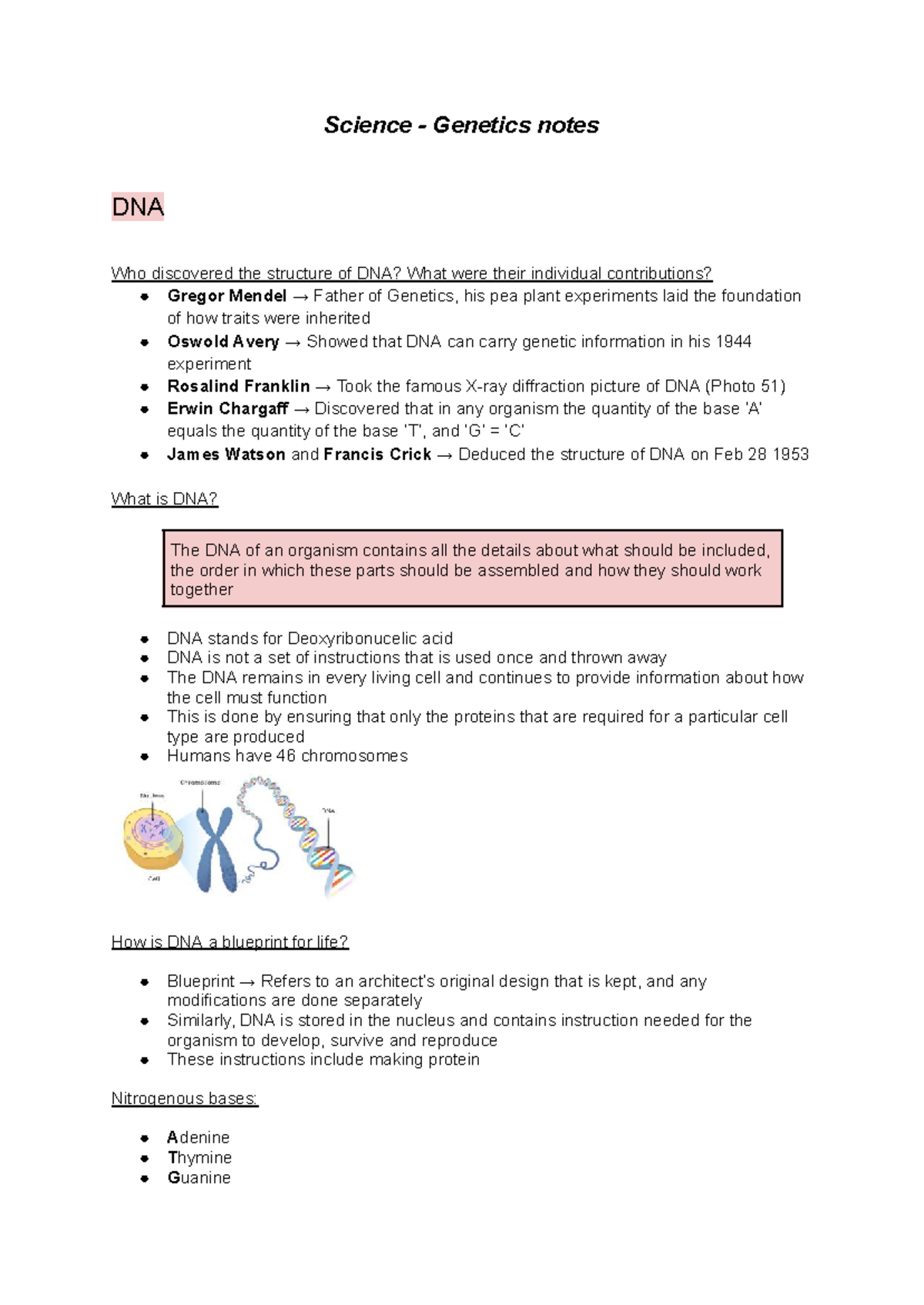 Genetics Notes: DNA Structure & Key Discoveries in Science - Studocu