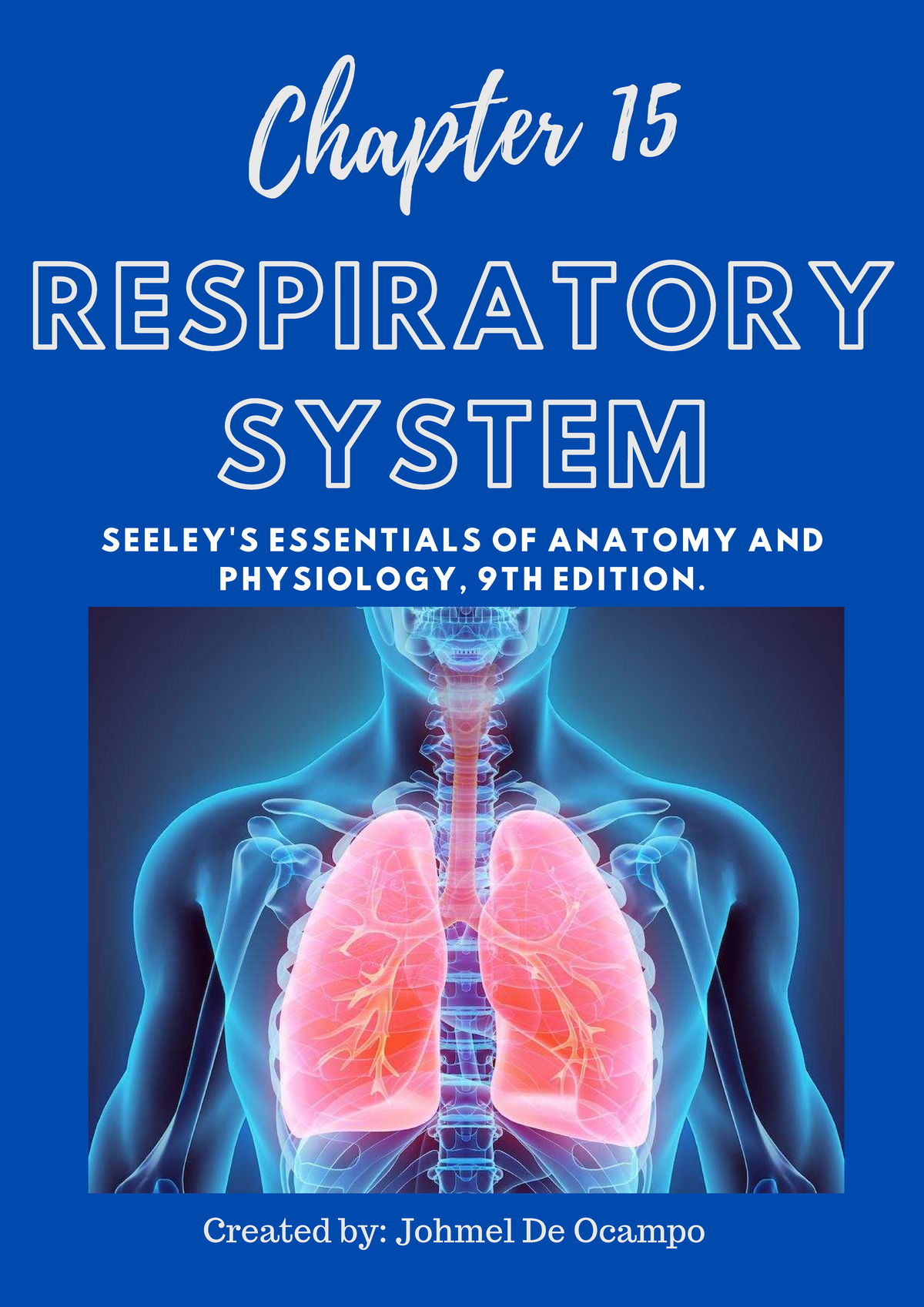 Anatomy Physiology Chapter 15 Respiratory System Essentials Studocu