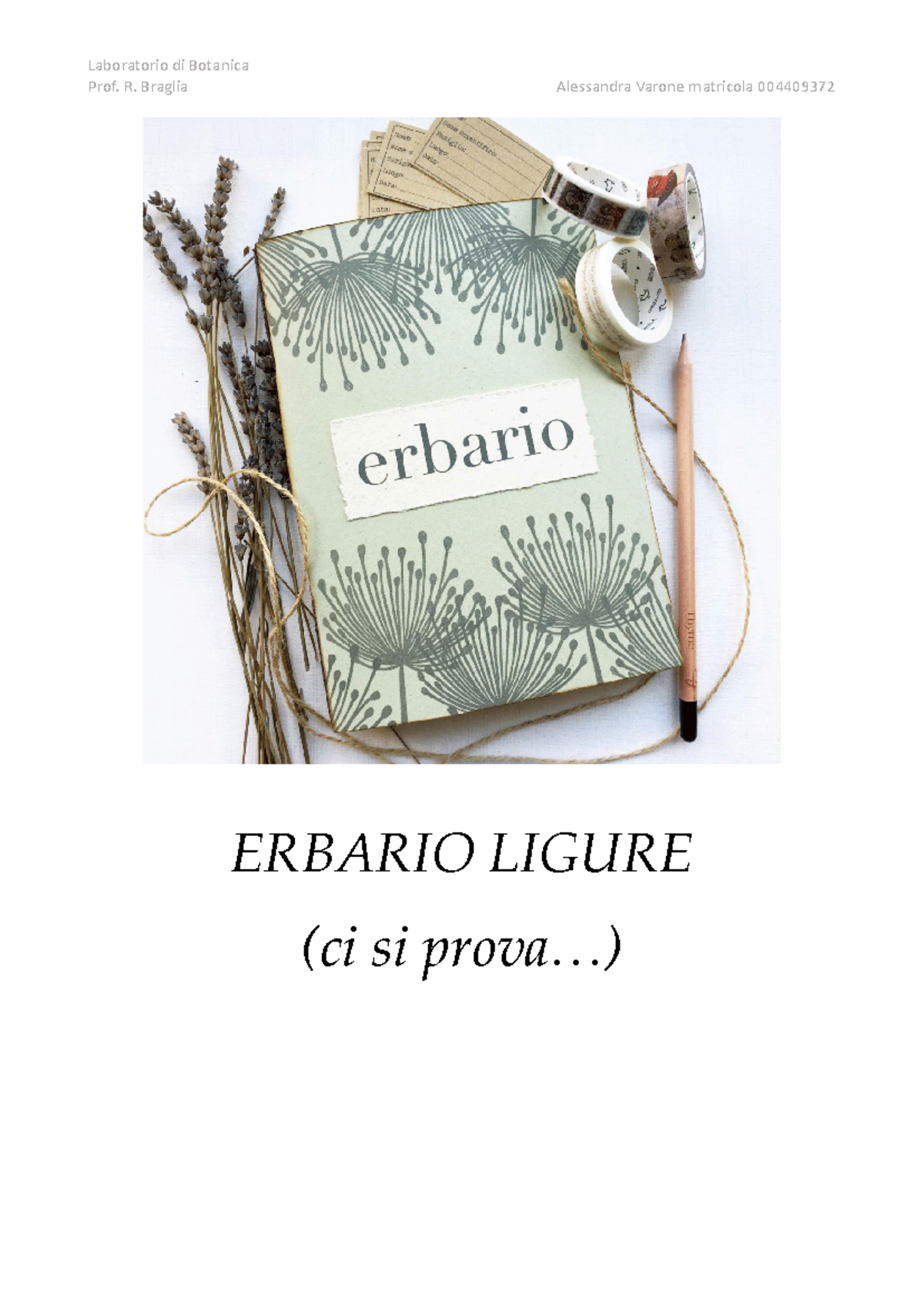 Sentosphère Laboratorio Di Erbario Cianotipo - Kit Creativo Per Stampe Botaniche Fai Da Te, Attenzione: Solo Per Uso Esterno