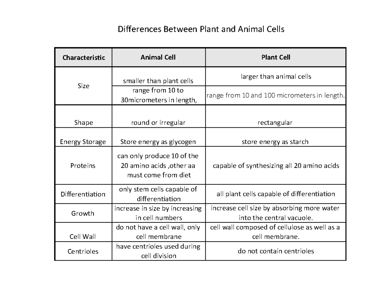 Differences Between Animal Cells And Plant Cells Online