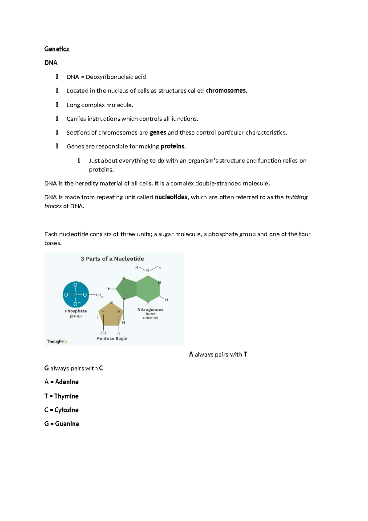 Biology 101: Genetics and DNA Structure Overview for Final Exam - Studocu