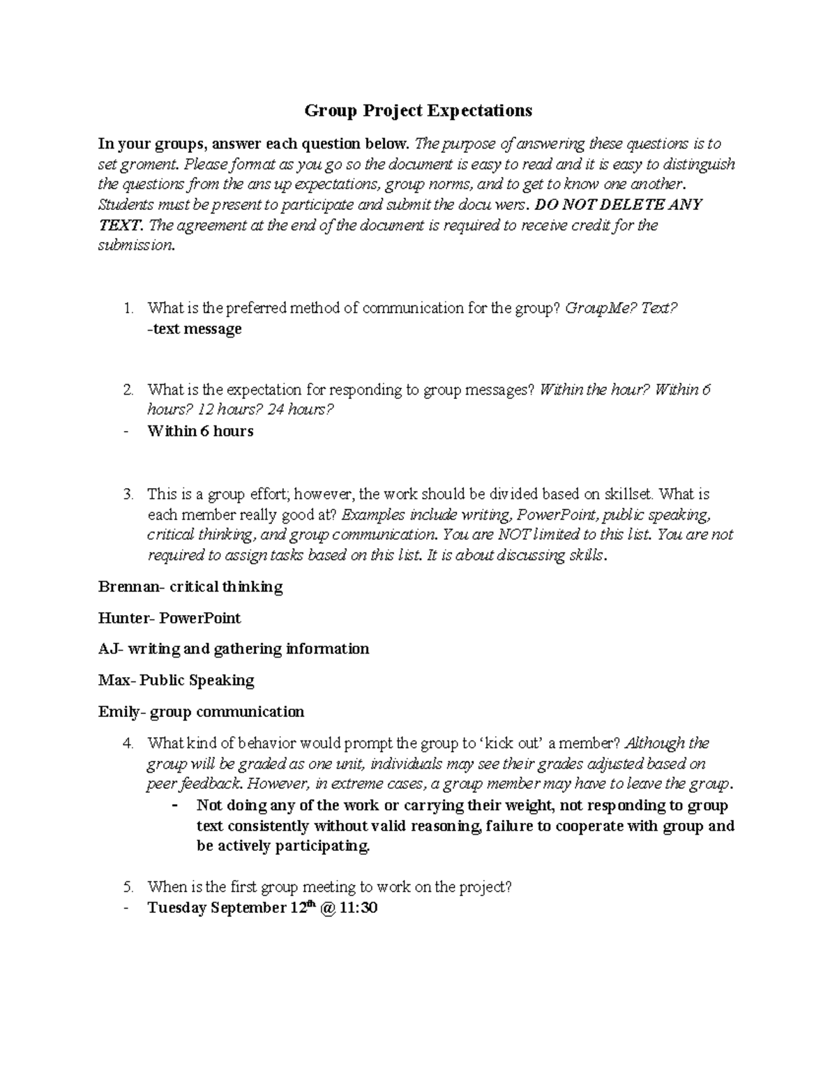 Group Project Expectations - The purpose of answering these questions ...