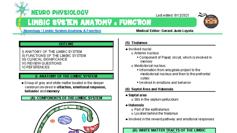 081 - Neurology Physiology: Limbic System Anatomy & Function Overview ...