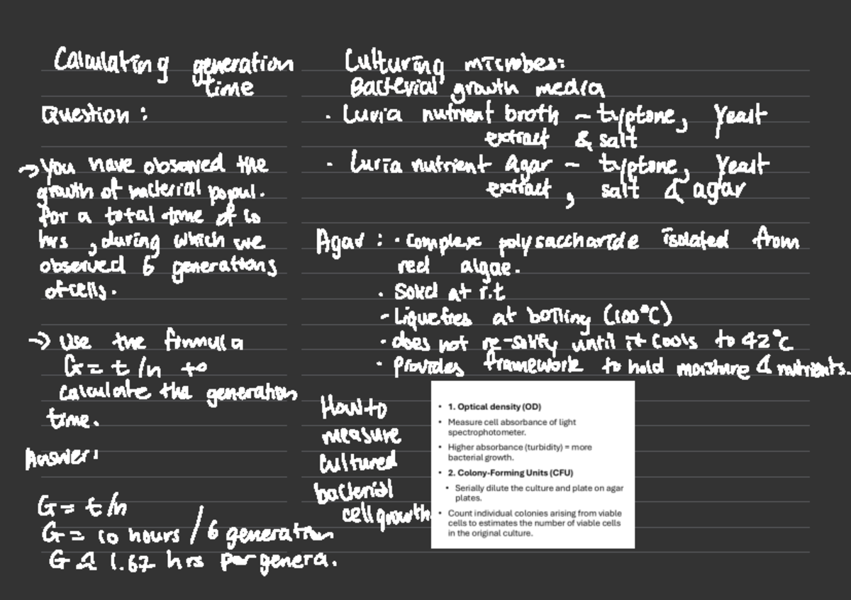 L2 - Lecture Notes on Bacterial Generation Time Calculations - Studocu