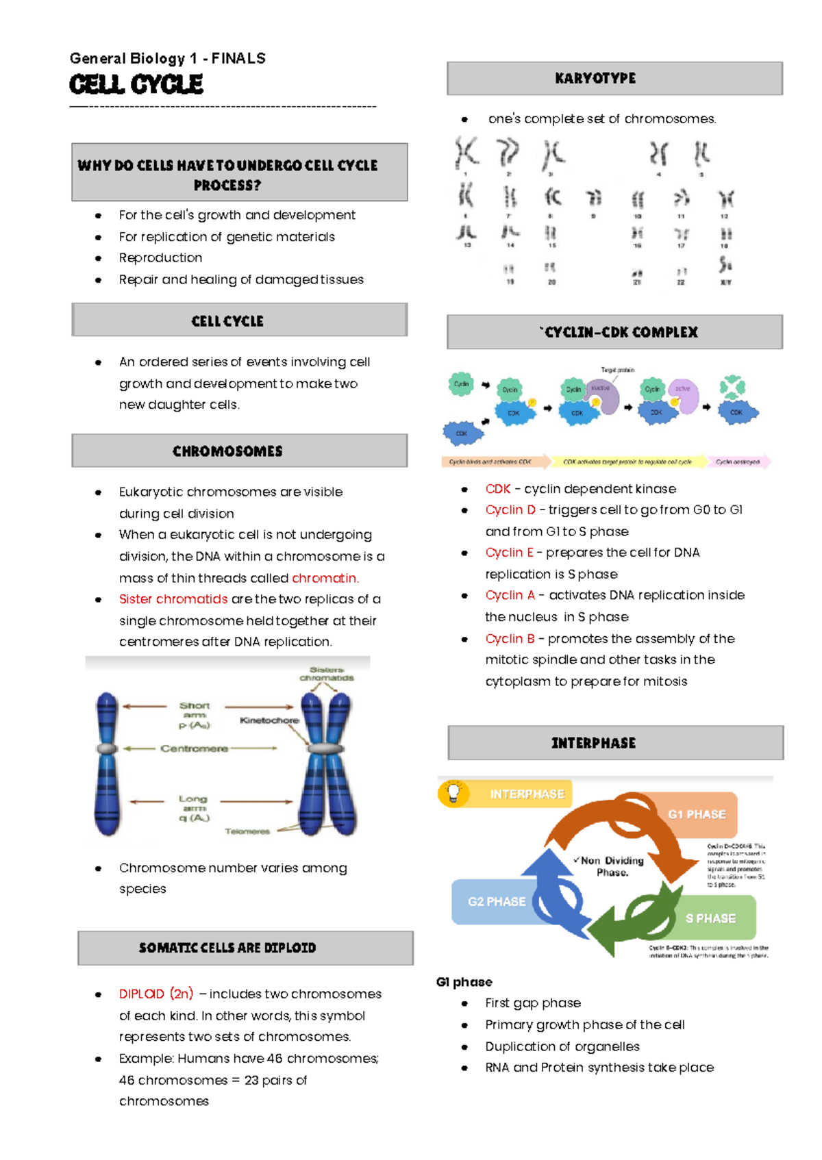 Genbio 1( Finals) CELL Cycle - General Biology 1 - FINALS CELL CYCLE ...