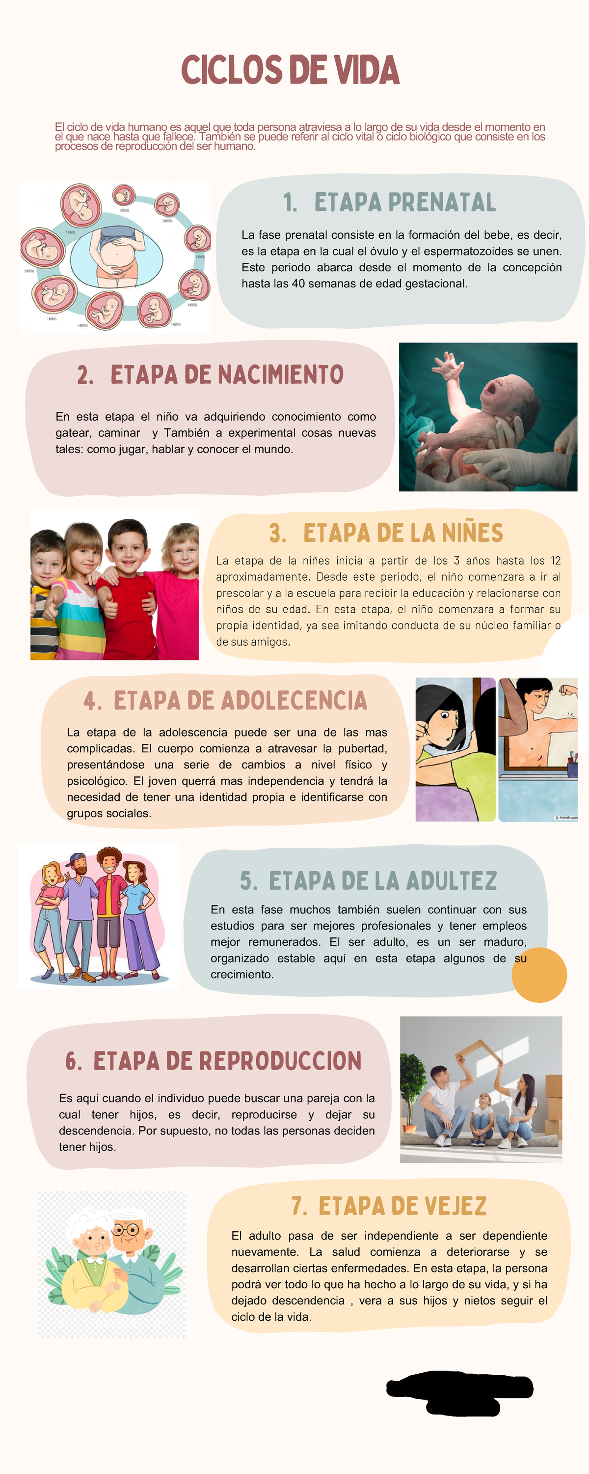 Fecundación humana: qué es, cómo ocurre, proceso, image size:1200x3000