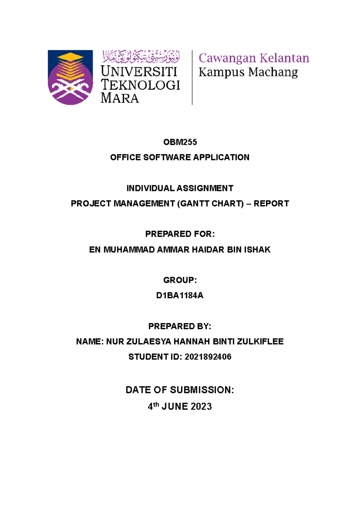 Individual Assignment - Project Management ( Report) - Office Software ...