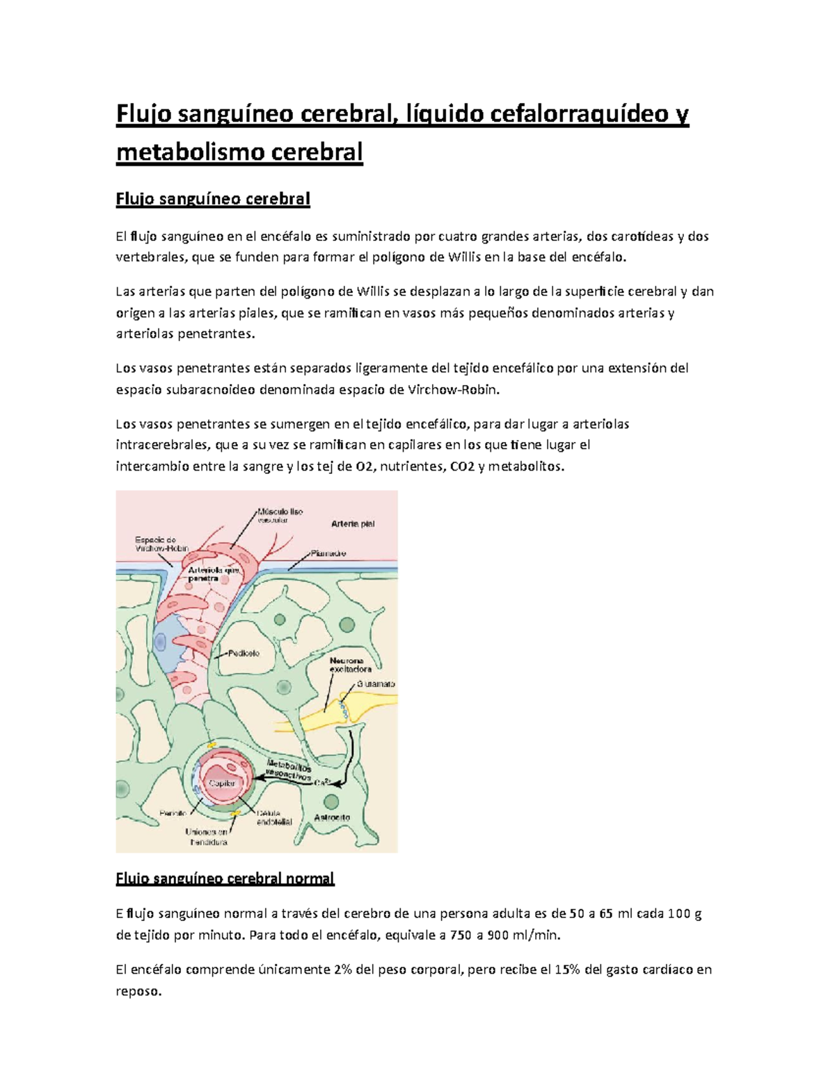 Cap 62 - Flujo Sanguíneo, LCR y Metabolismo Cerebral: Resumen y ...