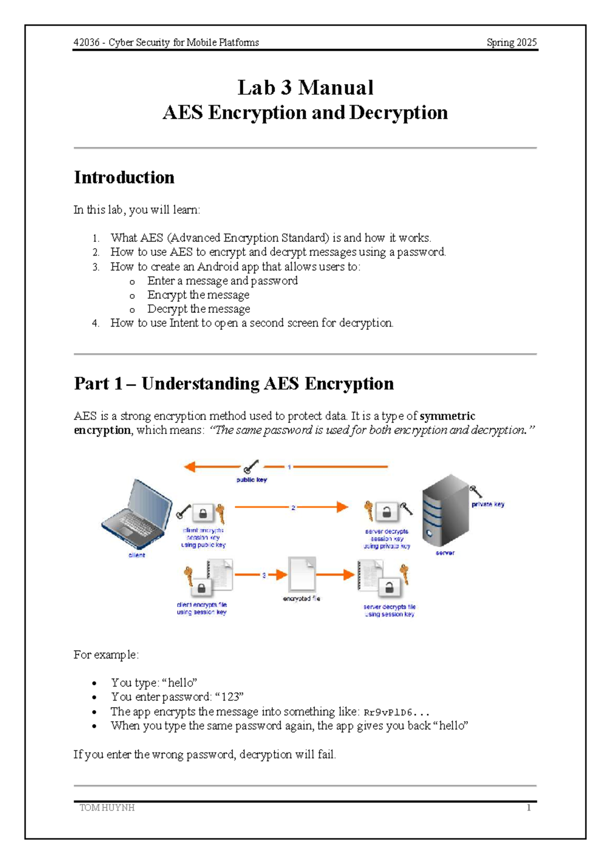 42036 Cyber Security for Mobile Platforms Spring 2025 Lab 3: AES ...