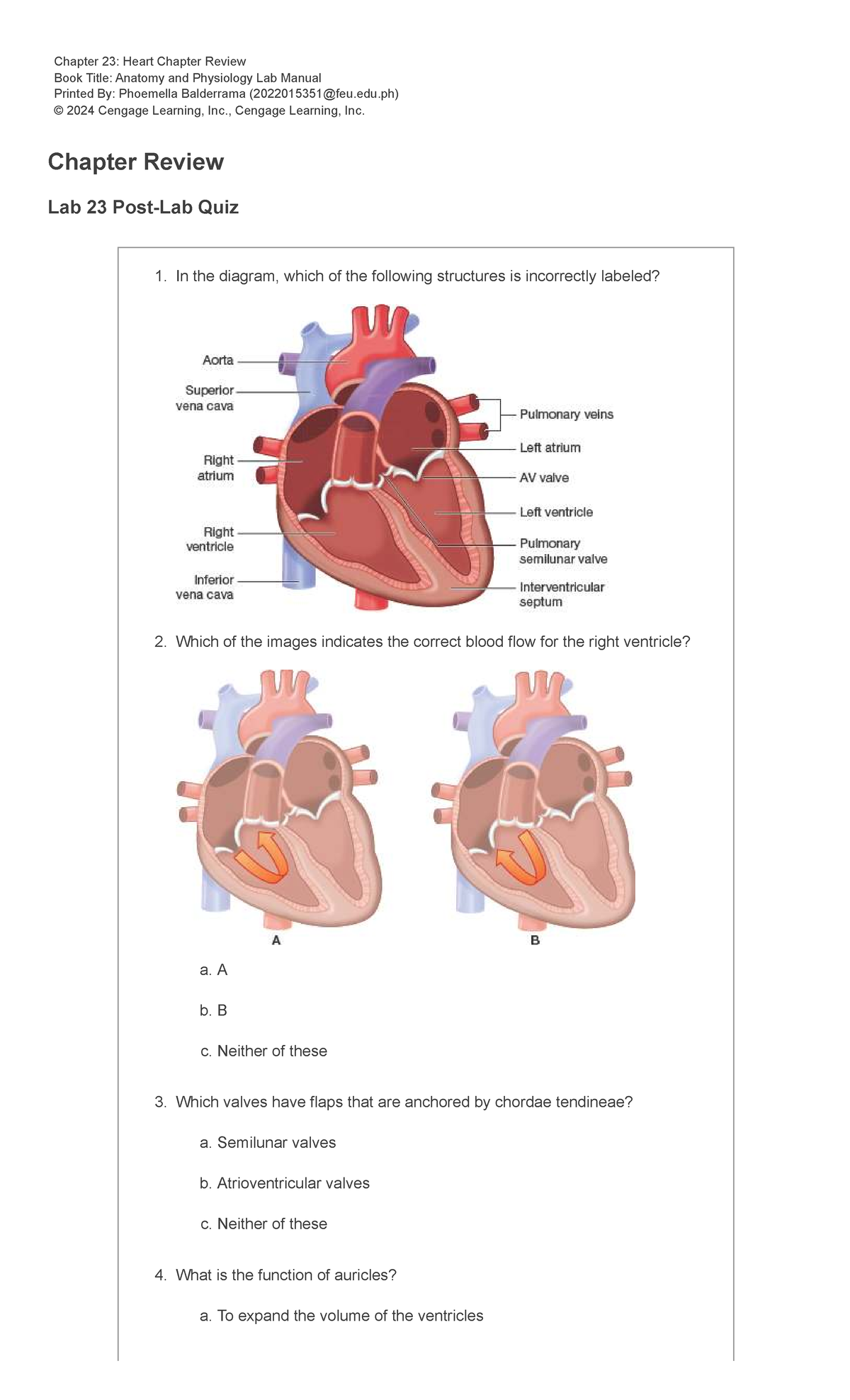 Chapter 23 Review: Heart Anatomy & Physiology Lab Quiz - Studocu
