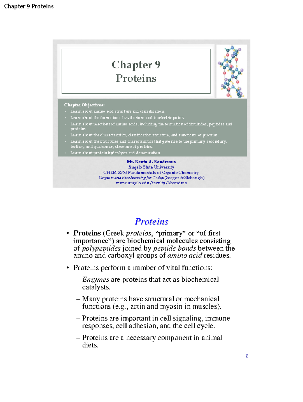 Protein Structure and Function - CHEM 2353 Lecture Notes - Studocu