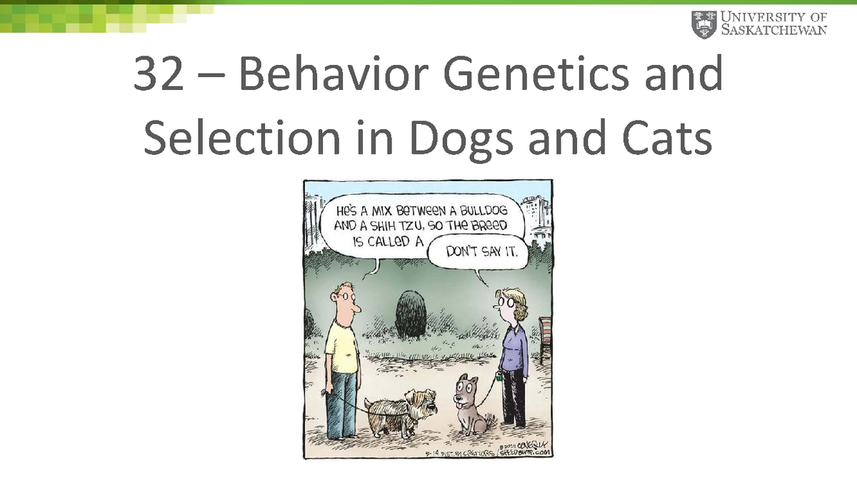 Behavior Genetics in Dogs and Cats: Selection Traits - Studocu