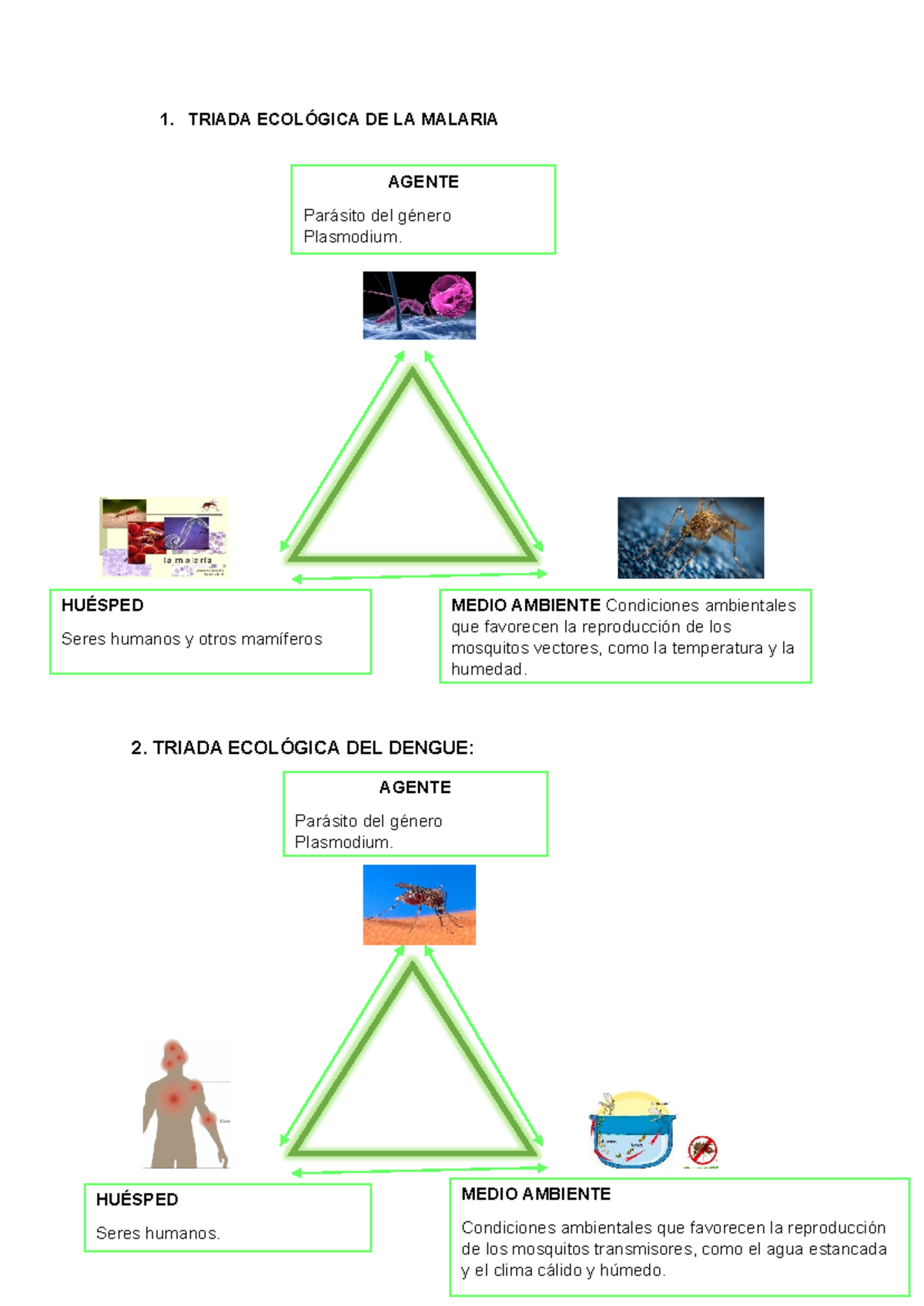 Enfermedades y su Triada Ecológica: Malaria, Dengue y Más - Document Preview